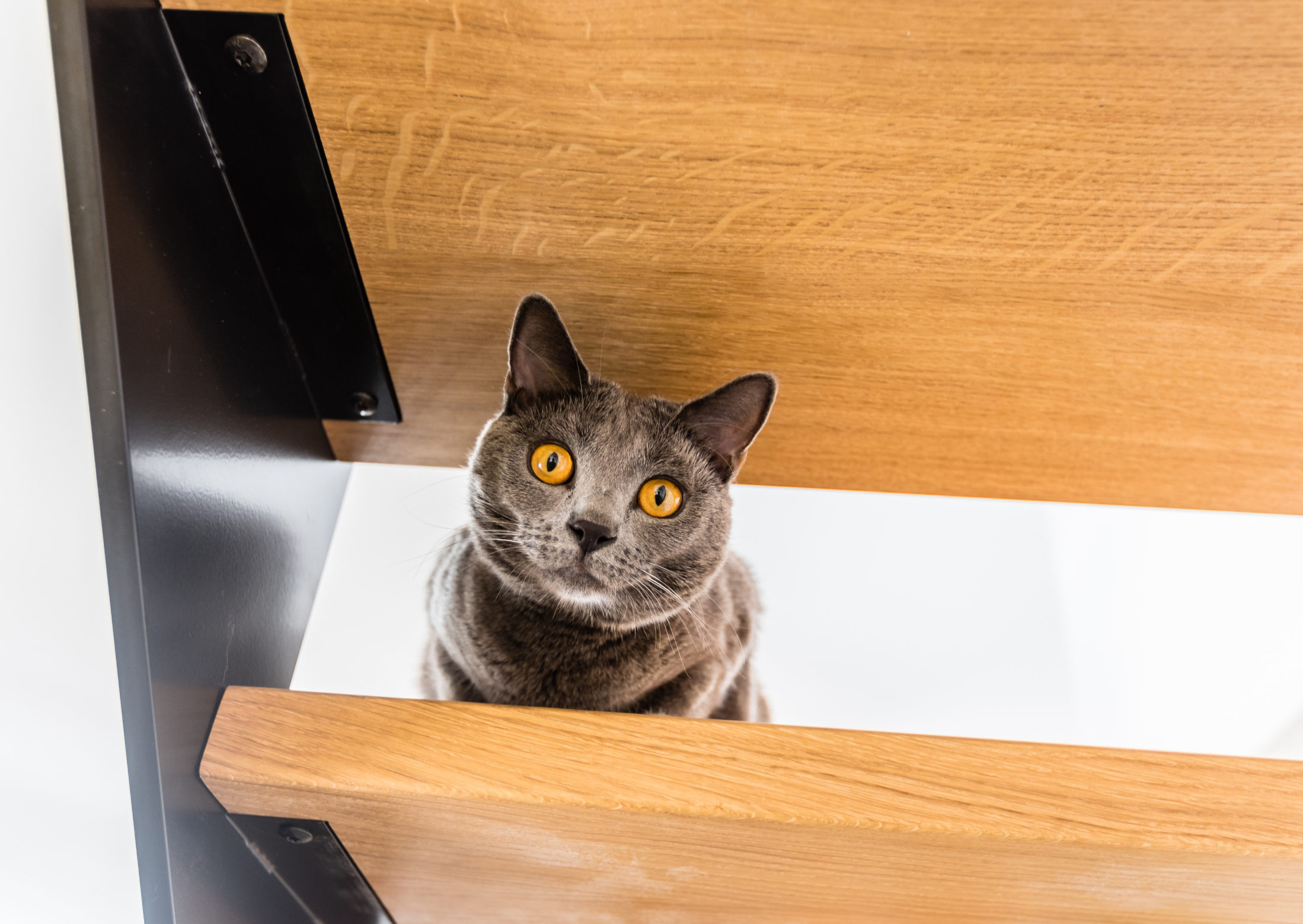 Maisons Prestige - Constructeur maison passive RT2012 > Colmar, Sélestat Haut-Rhin Alsace