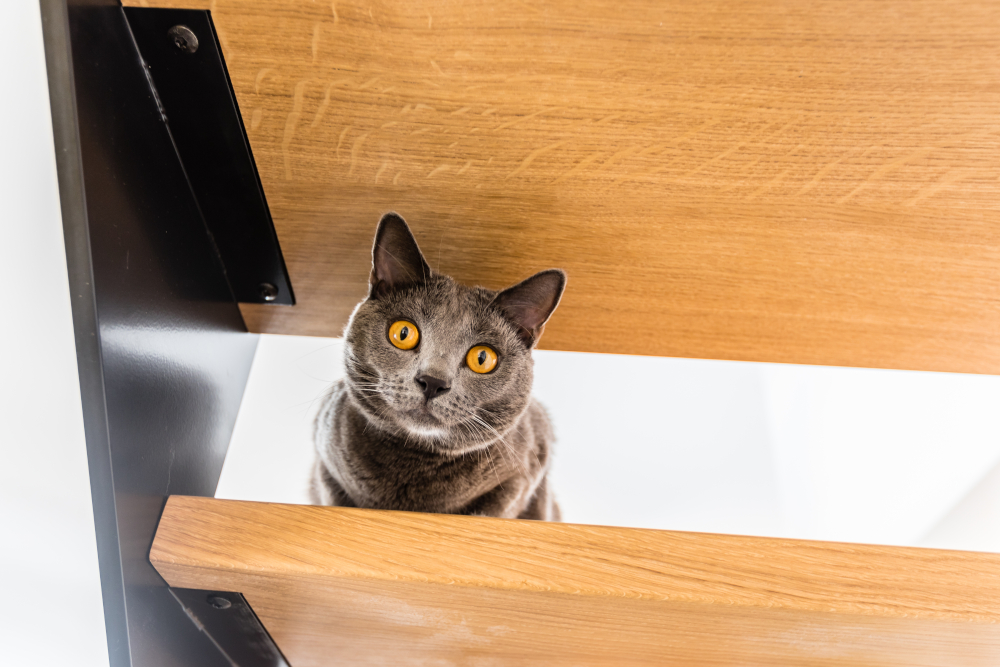 Maisons Prestige - La maison passive