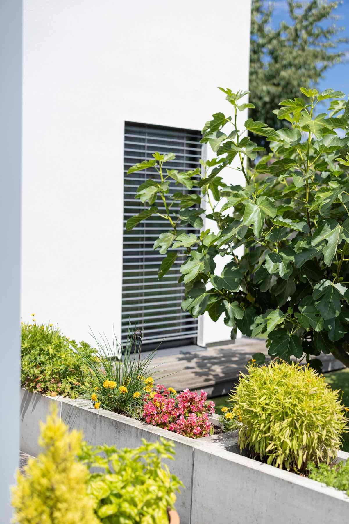 Maisons Prestige - Maison de démonstration passive 