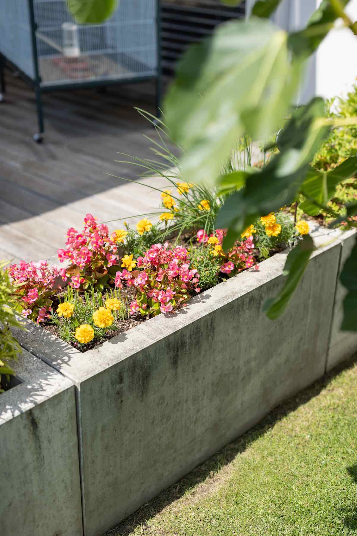 Maisons Prestige - Maison de démonstration passive 