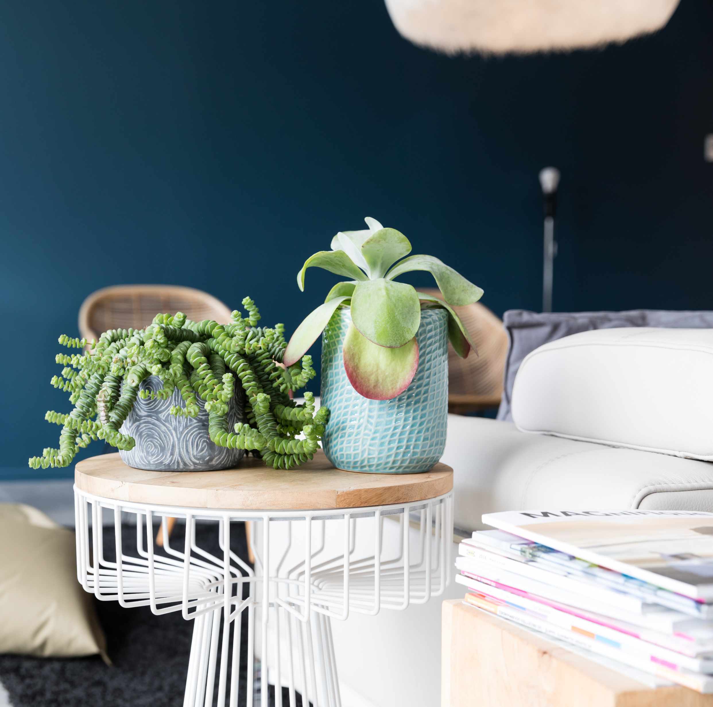 Maisons Prestige - Maison passive près de Colmar, 68