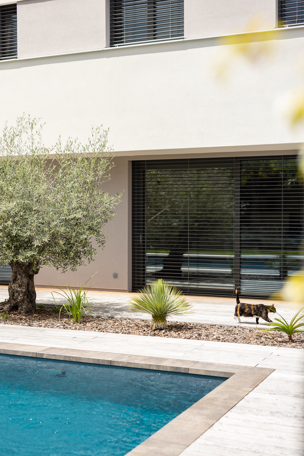 Maisons Prestige - Maison passive proche Guebwiller