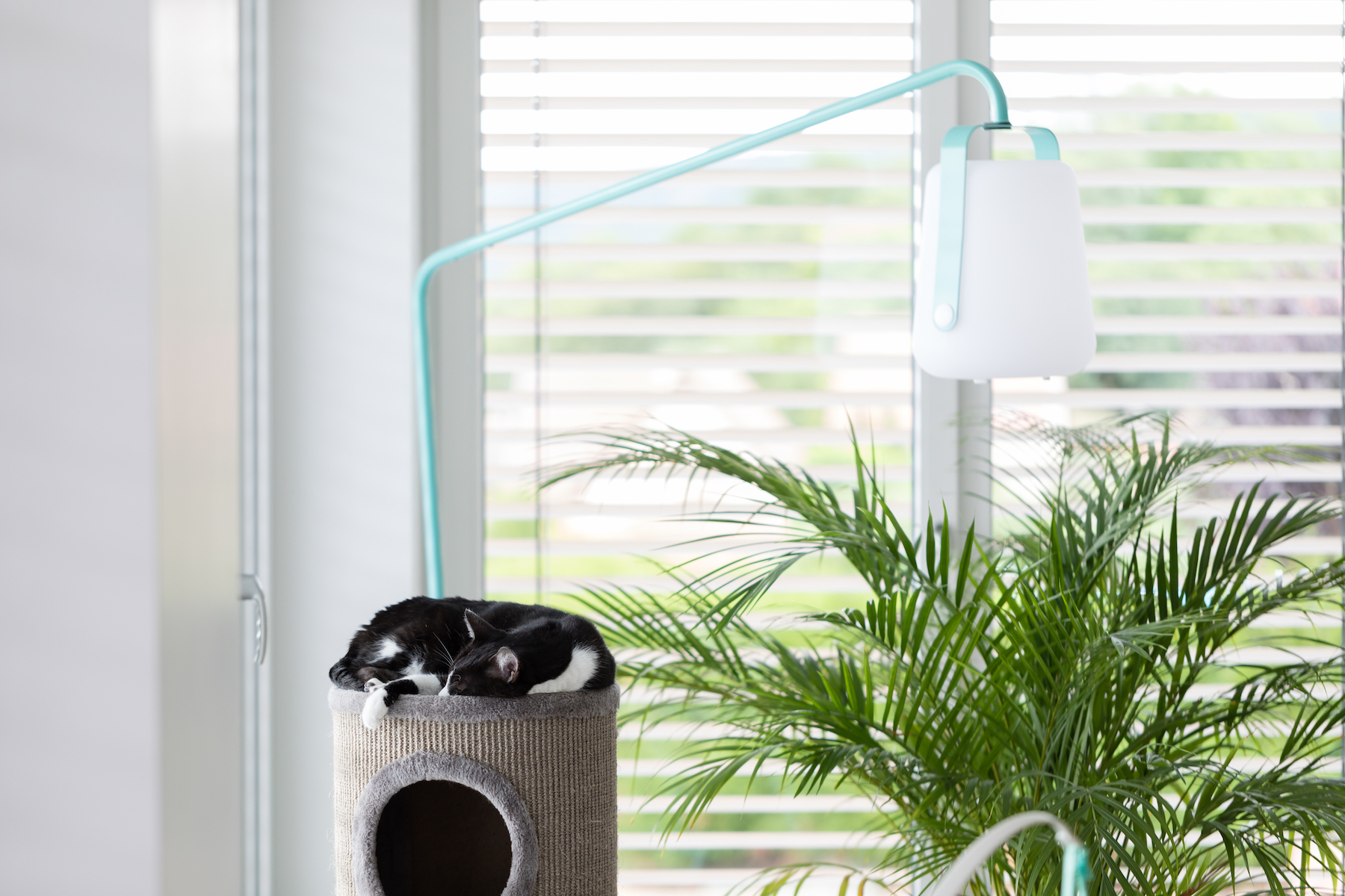 Maisons Prestige - Maison passive vignoble Colmarien