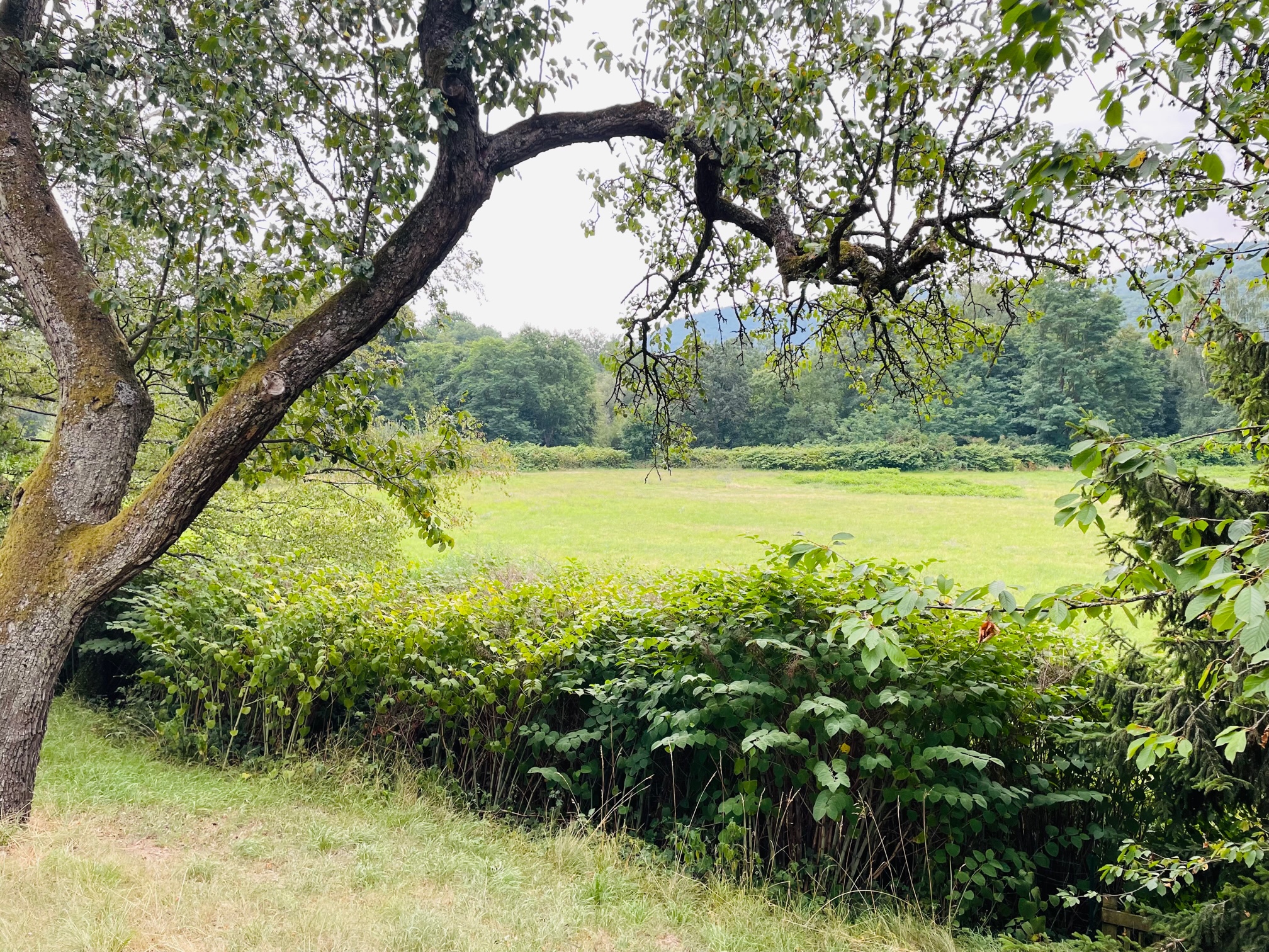 Maisons Prestige - Terrain 12,88 Ares à Zimmerbach