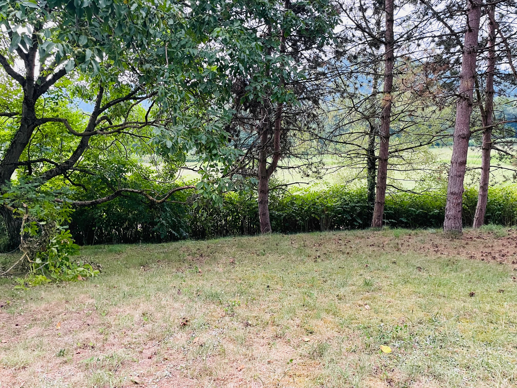 Maisons Prestige - Terrain 12,88 Ares à Zimmerbach