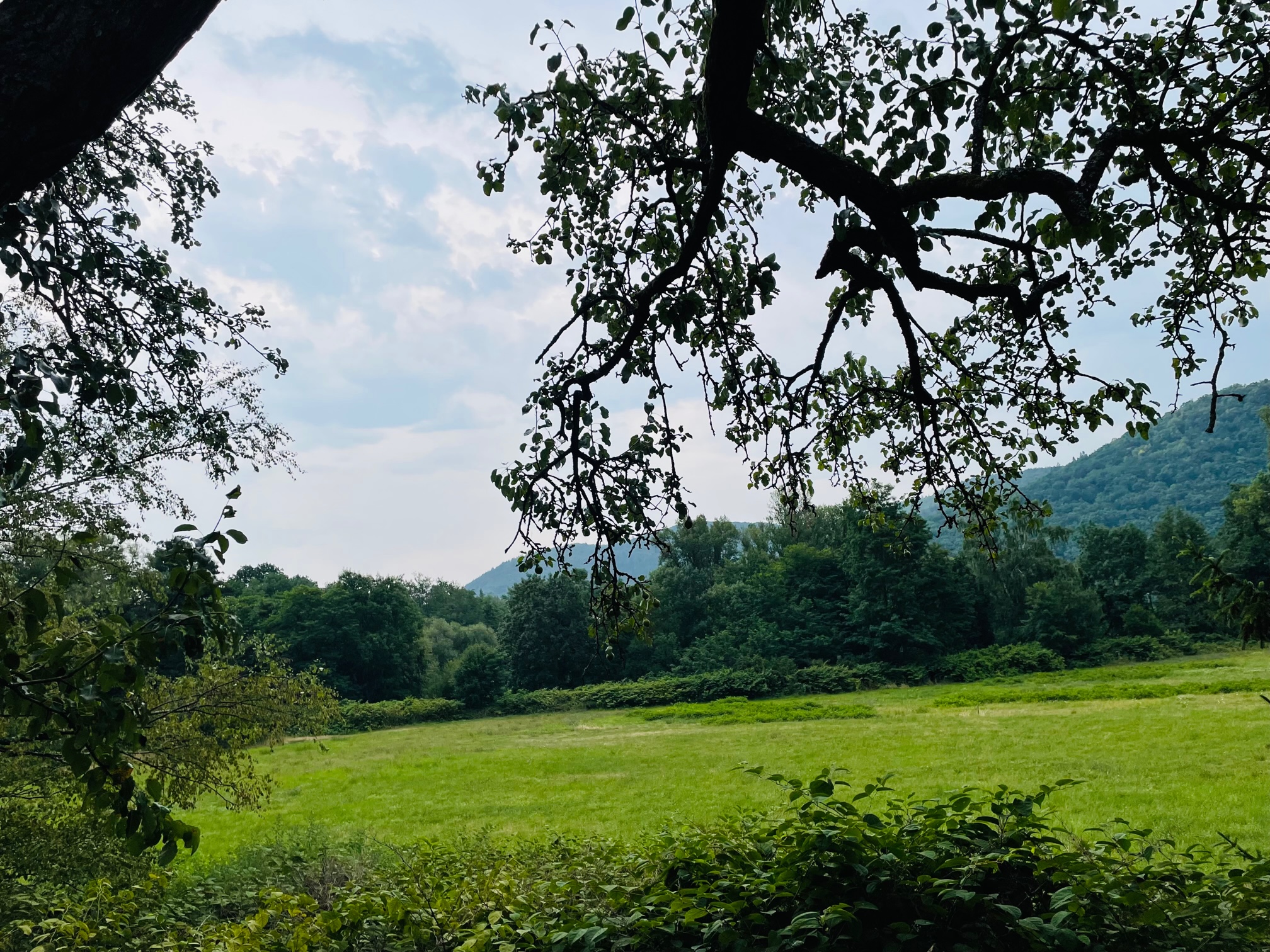 Maisons Prestige - Terrain 12,88 Ares à Zimmerbach