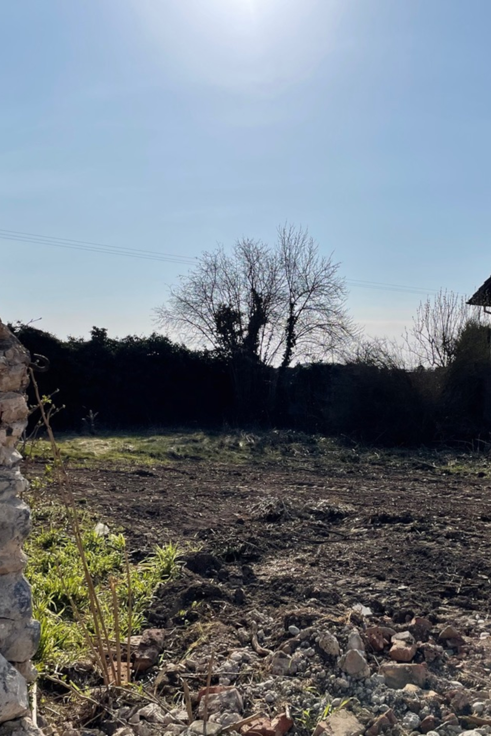 Dynamic Content Image