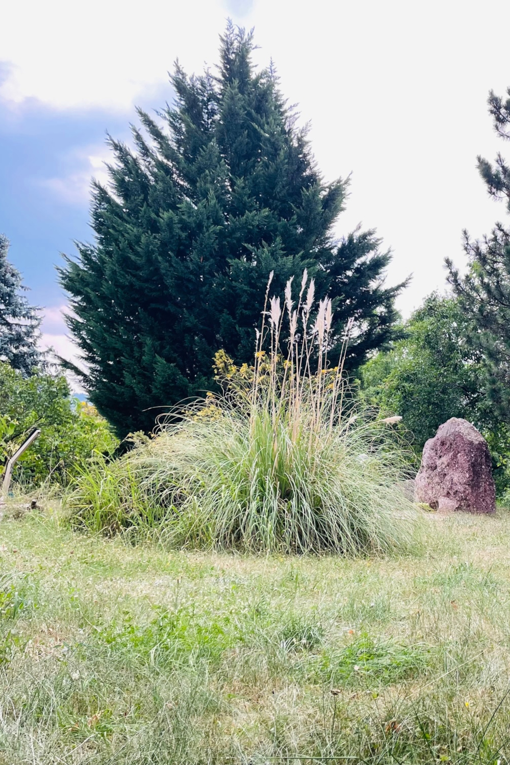 Dynamic Content Image